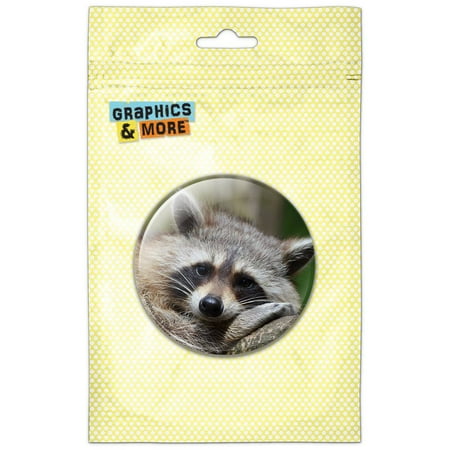 

Raccoon Resting Refrigerator Button Magnet