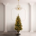 thumbnail image 5 of National Tree Company 4 ft. Glittery Gold Pine Entrance Tree with Clear Lights, 5 of 5