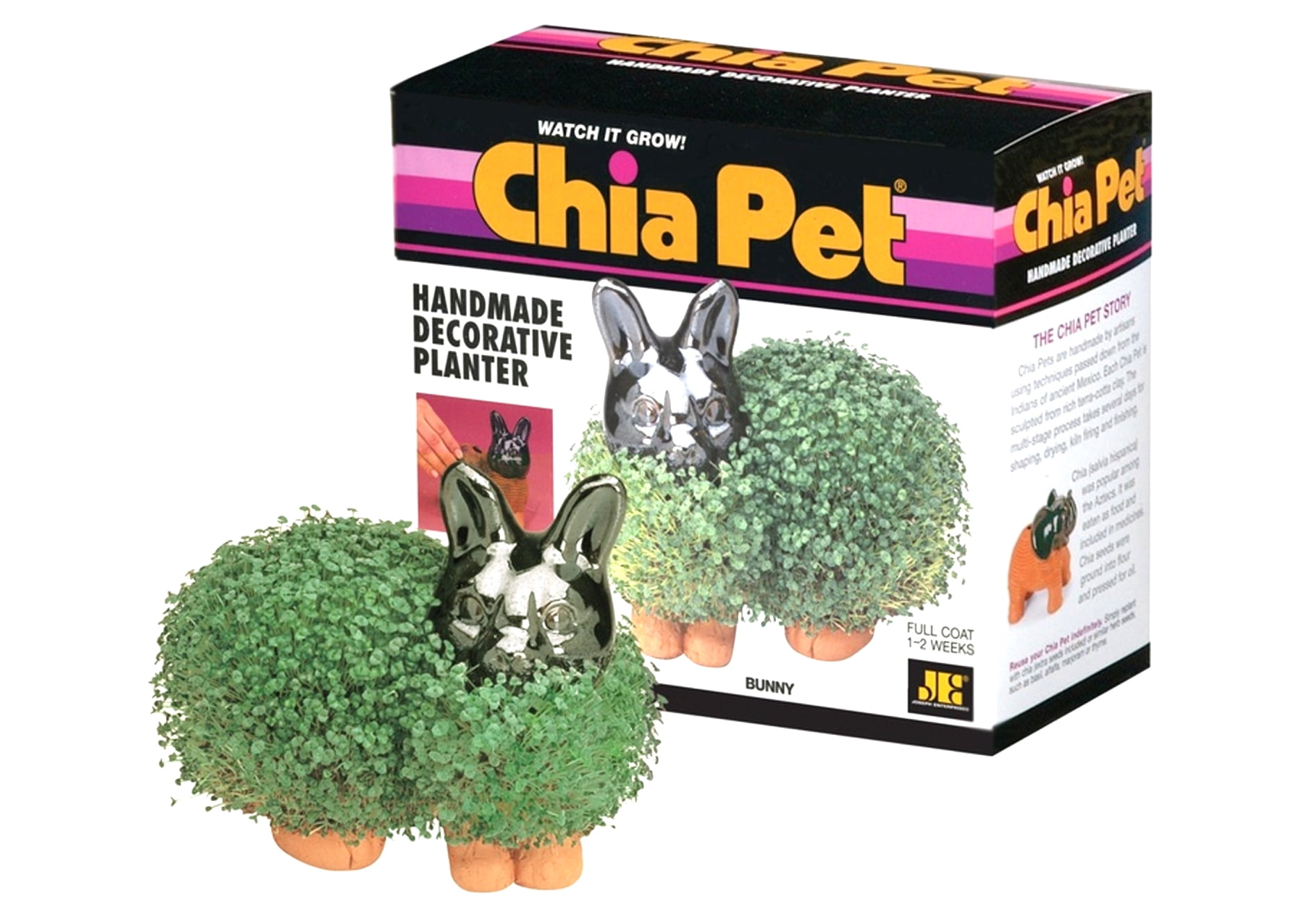 hedgehog chia pet walmart