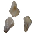 thumbnail image 5 of Chalcedony Calla Lily Flower Beads | 22x11x2.5mm to 27x11x2mm | White | 3 Beads|, 5 of 9