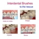 thumbnail image 4 of Seitruly 50 unids/set cepillo Interdental higiene palitos de hilo palillo de Limpieza de cepillo de hilo Tratamientos faciales Rojo, 50 piezas/caja 11*6*2 cm Seitruly JJ24499-01B, 4 of 6