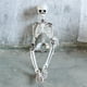 Squelette d'Halloween, squelette d'halloween Complet, Squelette avec Joints Mobiles pour Décoration d'Halloween – image 4 sur 5