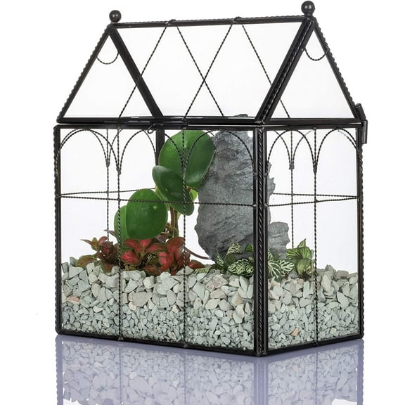 NCYP Black Glass Terrarium with Lid, Geometric Planter for Cacti, Air Plants, Succulents, 7.5 x 4.9 x 9 Inches (Terrarium Only)