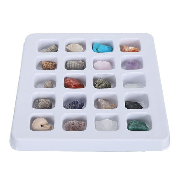 Rock Stone Colletction Set, Educational Beautiful Rock and Mineral Set 20pcs for Exhibition Type 2