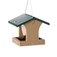 thumbnail image 2 of Birds Choice 8.75" Small Recycled Plastic Hanging Hopper 2-Sided Bird Feeder, Taupe/Green, 2 of 6