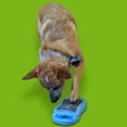 thumbnail image 2 of De' Vora Scratch Square Dog & Cat Grooming Toy, Small/Medium, 2 of 12