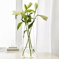 thumbnail image 4 of Collection Grenade Rouge 1171-0 Vase Zen en Verre 18 Po, 4 of 4