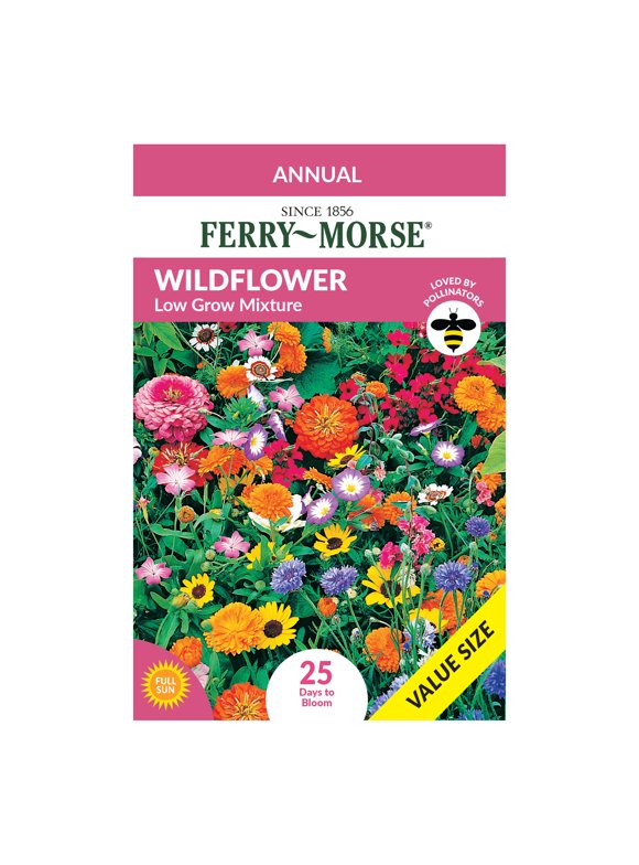 Wildflower Mix Flower Seeds in Seed Gardening