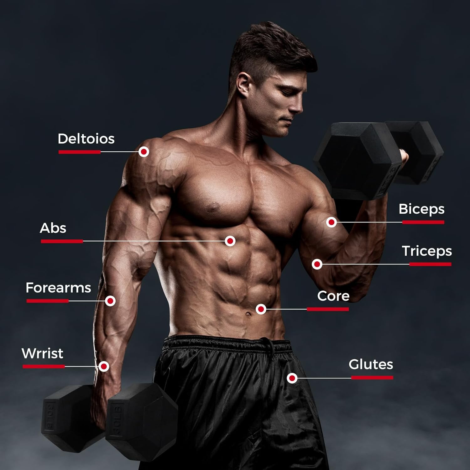 5-780LBS Rubber Coated Hex Dumbbell Weight Set with Rack for Home Gym Strength Training Workouts