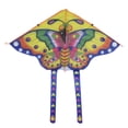 thumbnail image 3 of Herwey Butterfly Kite Child Kite Toy for Family Fun for Outdoor Activity, 3 of 6