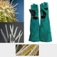 thumbnail image 3 of Guantes protectores Zulema de cuero reforzado para dueños de mascotas y cuidadores de reptiles verde, 3 of 8