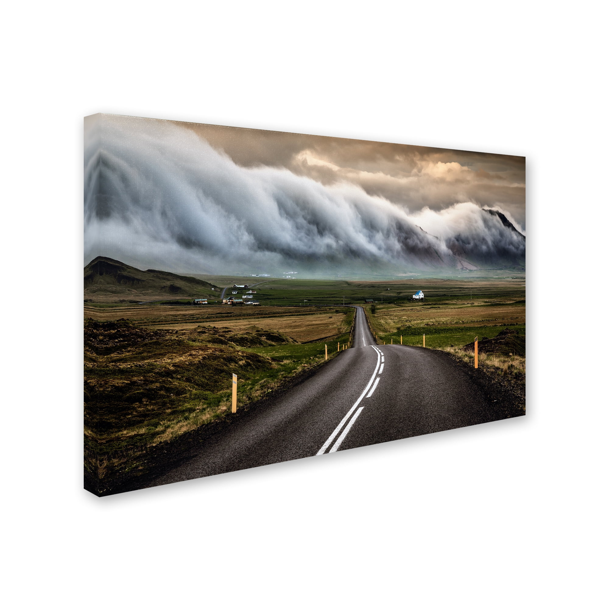 Sus Bogaerts 'Road' Canvas Art