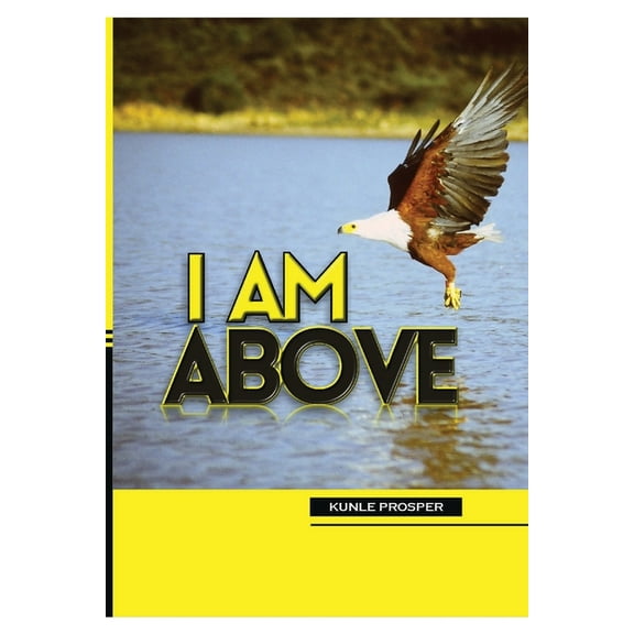 I Am Above (Paperback)