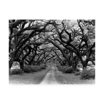 Trademark Fine Art 'Path In The Oaks Louisiana' Canvas Art by Monte Nagler
