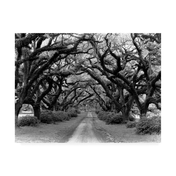 Trademark Fine Art 'Path In The Oaks Louisiana' Canvas Art by Monte Nagler