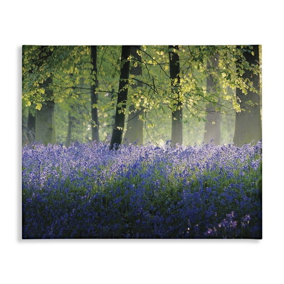 Stupell Industries Cottage Floral Lavender Field Morning Light Canvas Art, 20 x 16, by Adelino Goncalves