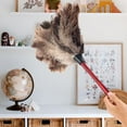 thumbnail image 3 of Natural Ostrich Feather Duster For Eco-Friendly Cleaning, Real Ostrich Feathers, Easy Clean Shake, Suitable For Various Surfaces Including Furniture And Electronics, 3 of 5