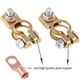 thumbnail image 5 of Conector de Cierre de terminal Riwesomey Suministros para automóviles Plásticos de cobre, 5 of 6