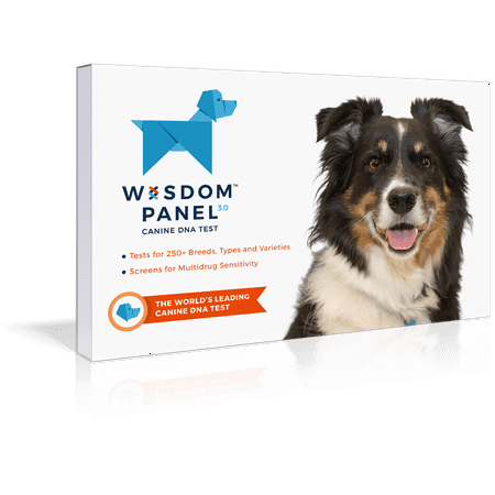 Wisdom Panel 3.0 Dog Breed Identification DNA Test (Best Canine Dna Test Kit)