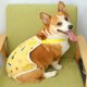 thumbnail image 4 of Braga Sanitaria para Perro con Tirante Pantalones Fisiológicos para Mascota Ropa Interior Ajustable y Acogedora para Perros Hembra Niña Braga Transpirable, 4 of 4