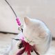 thumbnail image 4 of Juguete para gatos con plumas y varita mágica, juguete de plumas para gatos (6 colores al azar) JM, 4 of 5
