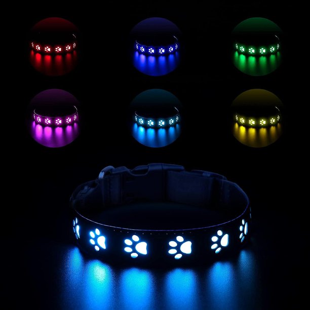 Collar para perro con luz LED mejorada, recargable por USB, extra brillante, de cuero y nailon, resistente al agua (s)