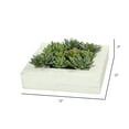 thumbnail image 3 of Vickerman 12"x12" Artificial Green Succulent Arrangement., 3 of 6