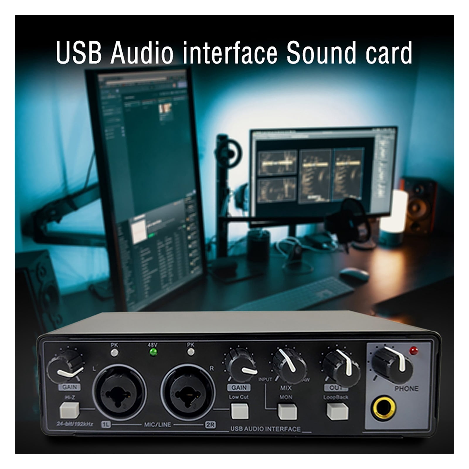 Professional Audio 2 In 2 Out USB Audio Interface Recording Sound Card With Large Diaphragm Recording Mic