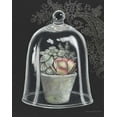 thumbnail image 2 of Babbitt, Gwendolyn 15x18 Black Ornate Wood Framed with Double Matting Museum Art Print Titled - Succulent in Cloche IV, 2 of 4