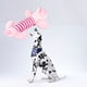 thumbnail image 3 of Juguete de peluche para perros, lindo animal a rayas con 4 patas, juguete para masticar con sonido resistente a las mordeduras, juguete de peluche para perros y gatos que rechinan los dientes [cerdo], 3 of 8