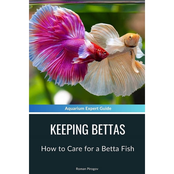 Keeping Bettas: How to Care for a Betta Fish (Paperback)