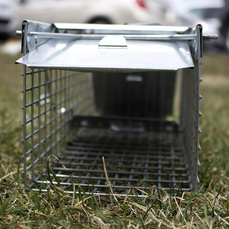 Havahart 1020 X-Small 2-Door Humane Catch and Release Live Animal Trap for  Moles, Rodents, Shrews, Mice, Voles, and Other Small Animals