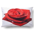 thumbnail image 1 of RYLABLUE Dark Red Rose With Droplets Isolated Over White Pillowcase Pillow Cushion Cover 20x30 inch, 1 of 1