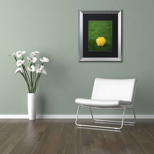 Trademark Fine Art "A Lone Yellow Tulip" Canvas Art by Kurt Shaffer, Black Matte, Silver Frame