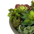 thumbnail image 4 of Vickerman FH182801 Pot de Succulentes Mélangé en Béton de 6 Po, 4 of 5