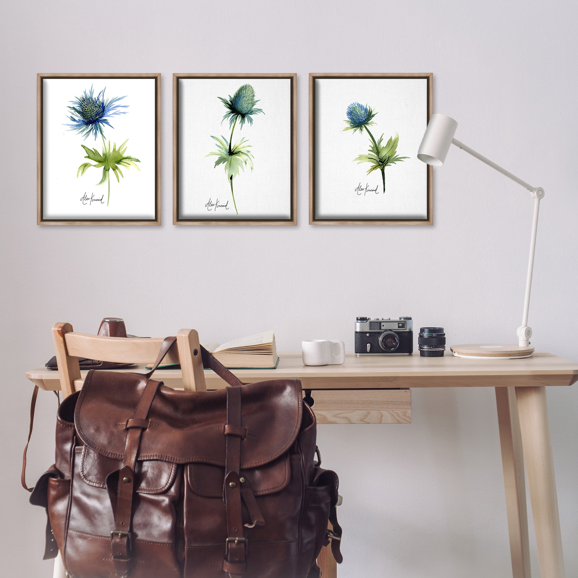 Stupell Industries Thistle Watercolors on White Botanical & Floral Painting Brown Floater Framed Canvas Art Print Wall Art, 17 x 21, Set of 3
