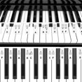 thumbnail image 5 of 88 Keys Silicone Piano Keyboard Sticker, Removable Piano Stickers for Keyboards(Black), 5 of 5