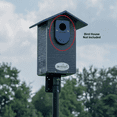 thumbnail image 2 of JCs Wildlife Exclusive Recycled Poly Lumber Birdhouse Predator Guard (Black), 2 of 2