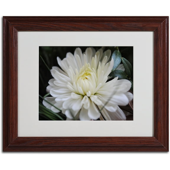 Trademark Fine Art "Vintage Culture" by Monica Fleet, Wood Frame