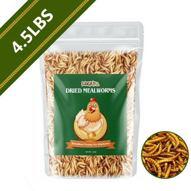 4.5Lb Dried Mealworms for chickens Chicken Treats Duck Feed Organic