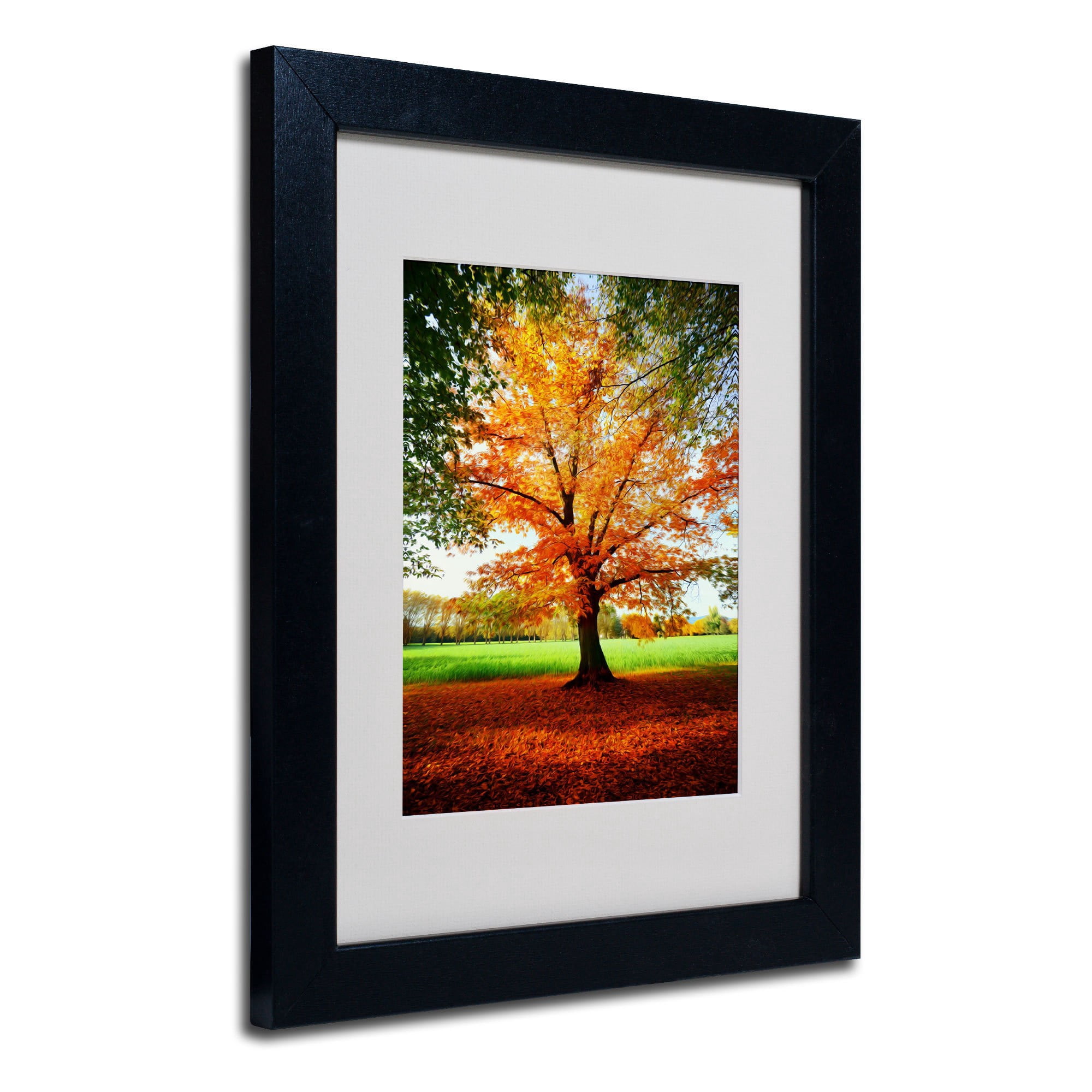 Trademark Fine Art "Tout Feu" Canvas Art by Philippe Sainte-Laudy, Black Frame