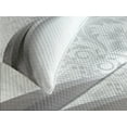 thumbnail image 4 of Ambesonne Grey Quilted Bedspread Set 3 Pcs, Wavy Stripes and Flowers, Queen Size, Grey Pale Grey White, 4 of 5