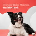 thumbnail image 5 of DreamBone High Protein Rolls, Buffalo, Chicken and Peanut Butter Flavor, Rawhide-Free Chews for Dogs, 4 Count, 5 of 10