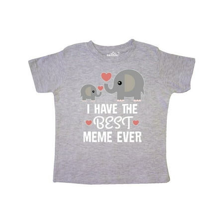 Best Meme Ever Grandchild Gift Toddler T-Shirt