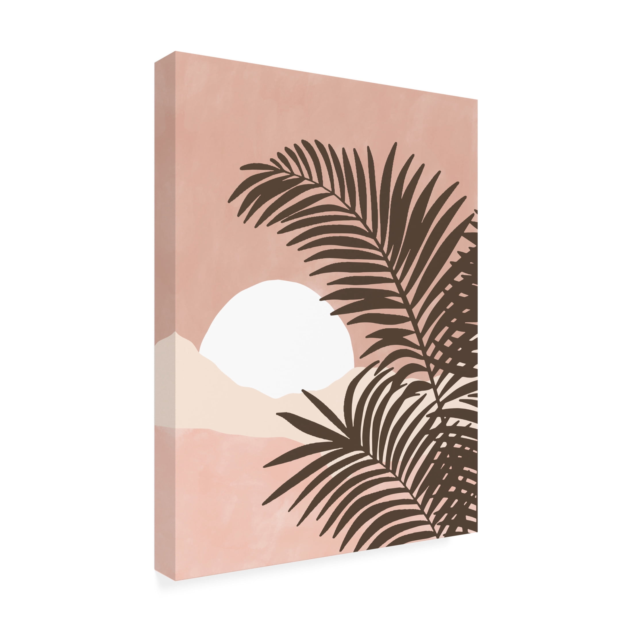 Trademark Fine Art Elena Ristova  softpink33 Canvas Wall Art