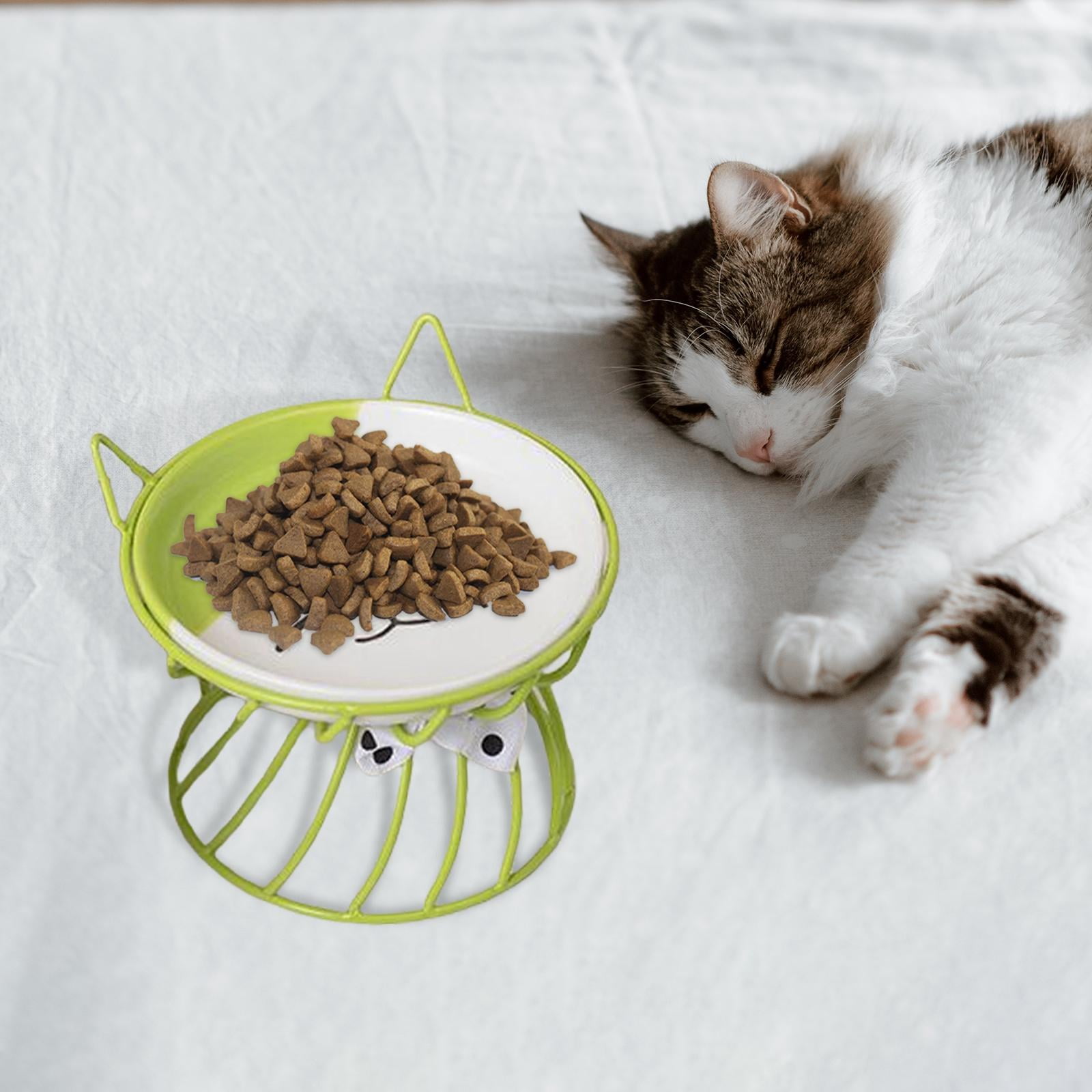 Ceramic Cat Bowl, Elevated Cat owl with Metal Stand, and