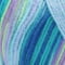 thumbnail image 4 of Red Heart® Super Saver™ #4 Worsted Acrylic Yarn, Wildflower 5oz/142g 236yd, 4 of 5