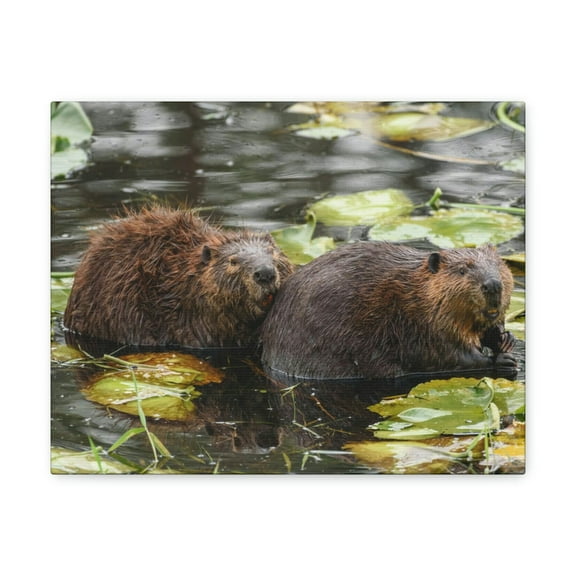 Beaver Couple Beaver Troop Print Animal Wall Art Wildlife Canvas Prints Wall Art Ready to Hang Unframed