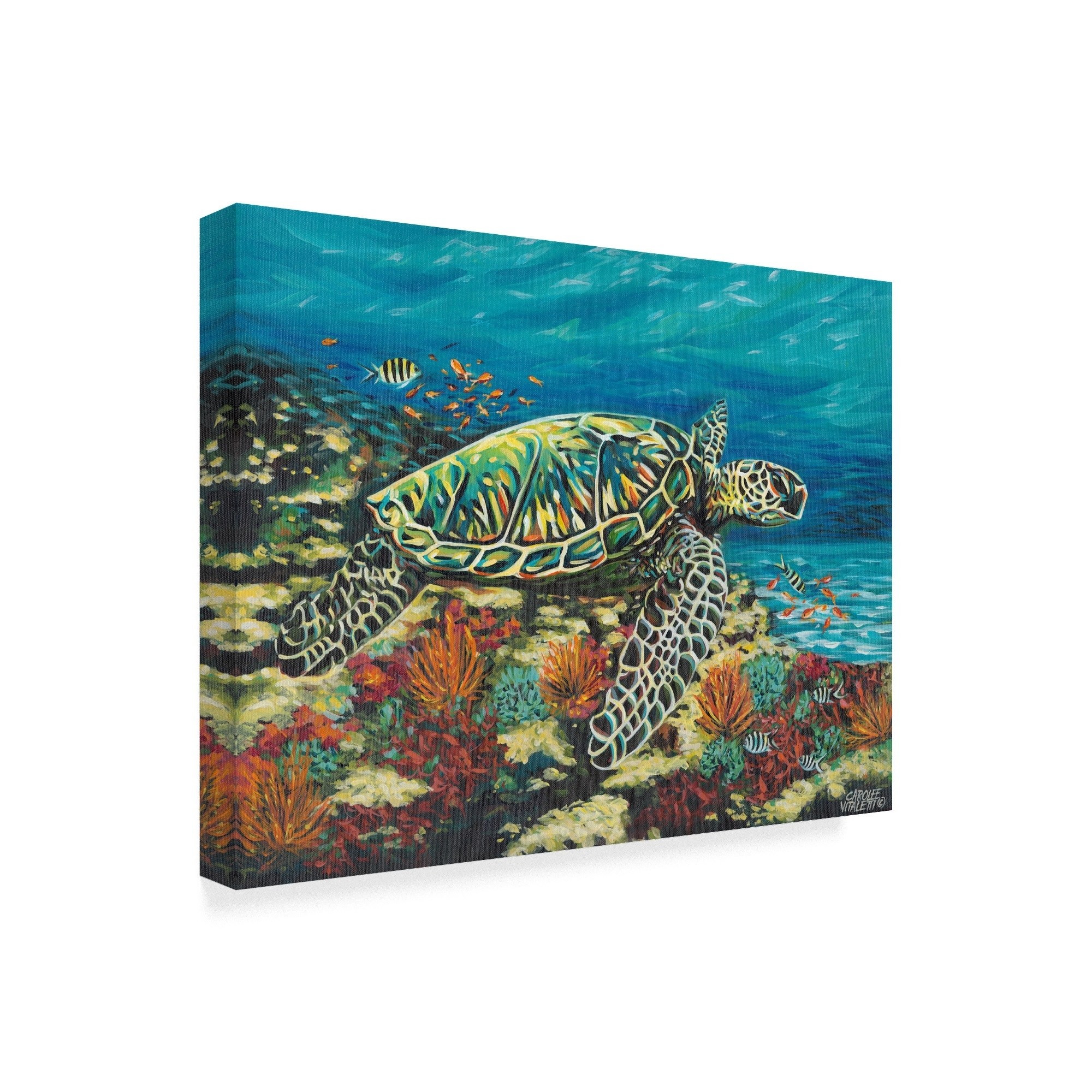 Trademark Fine Art 'Deep Sea Swimming II' Canvas Art by Carolee Vitaletti