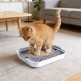 thumbnail image 3 of WUSUOWEI 1PC Rabbit Litter Box,Small Pet Toilet Tray with Elevated Grid,10 Inch,Pig Litter Pan AntiTurnover Pet Toilet Potty Trainer Corner Pig Training Pan,Cage with Toilet Tray for Rabbit, 3 of 9